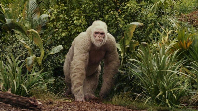 Rampage - Big Meets Bigger - 4k Ultra Hd Blu-ray - Actie & Avontuur