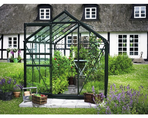 Kas Hallen Populair 86 5,0 m² Helder glas 3 mm 193x257 cm groen
