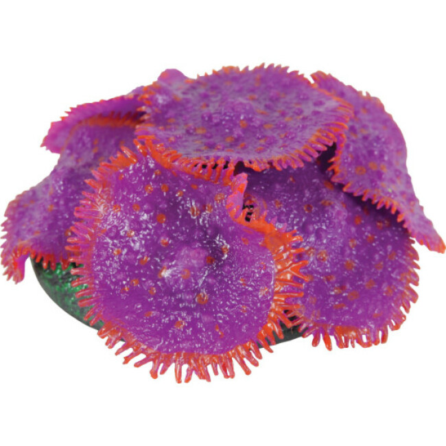 Décoration Sweetyfish Zolux pour aquarium