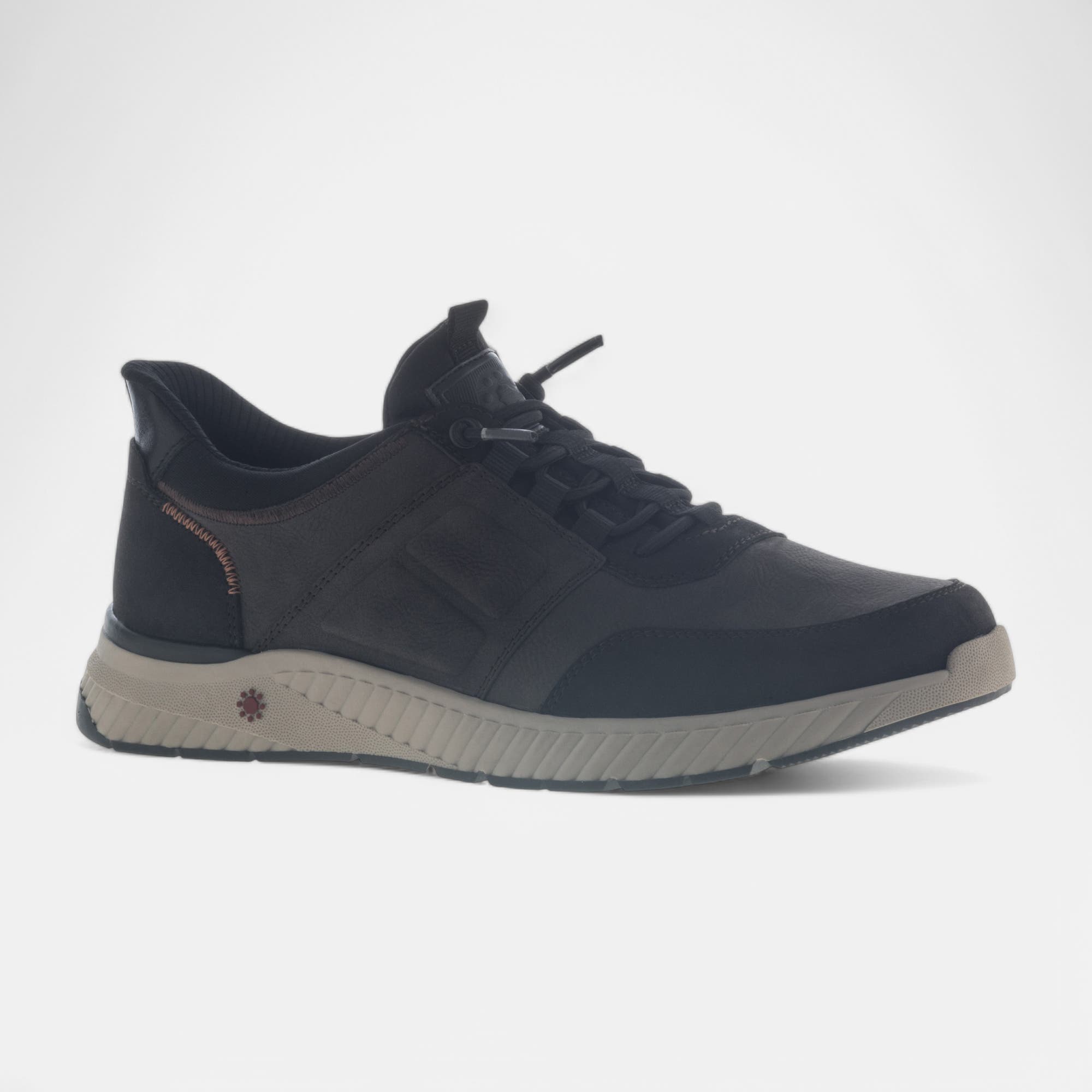 Baskets basses Homme marron