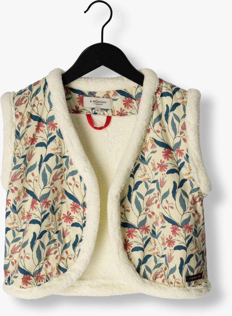 A MONDAY IN COPENHAGEN multi a monday in copenhagen gilet vibe vest