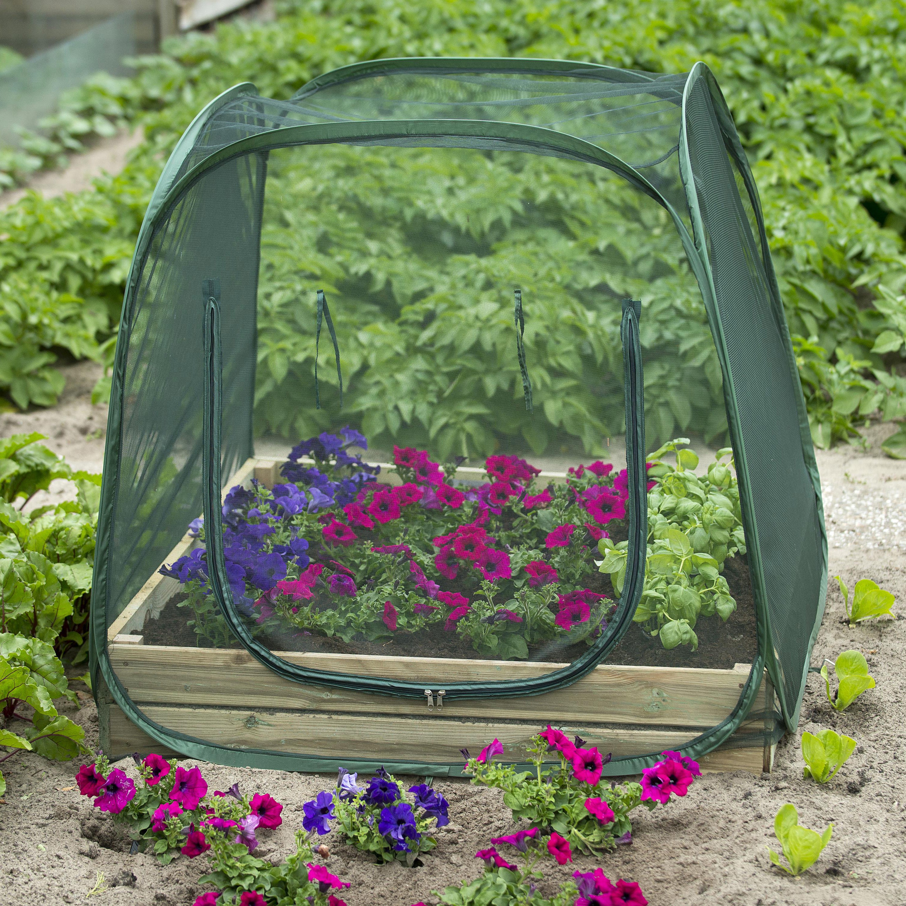 Nature Vierkante Meter Pop-up Kas