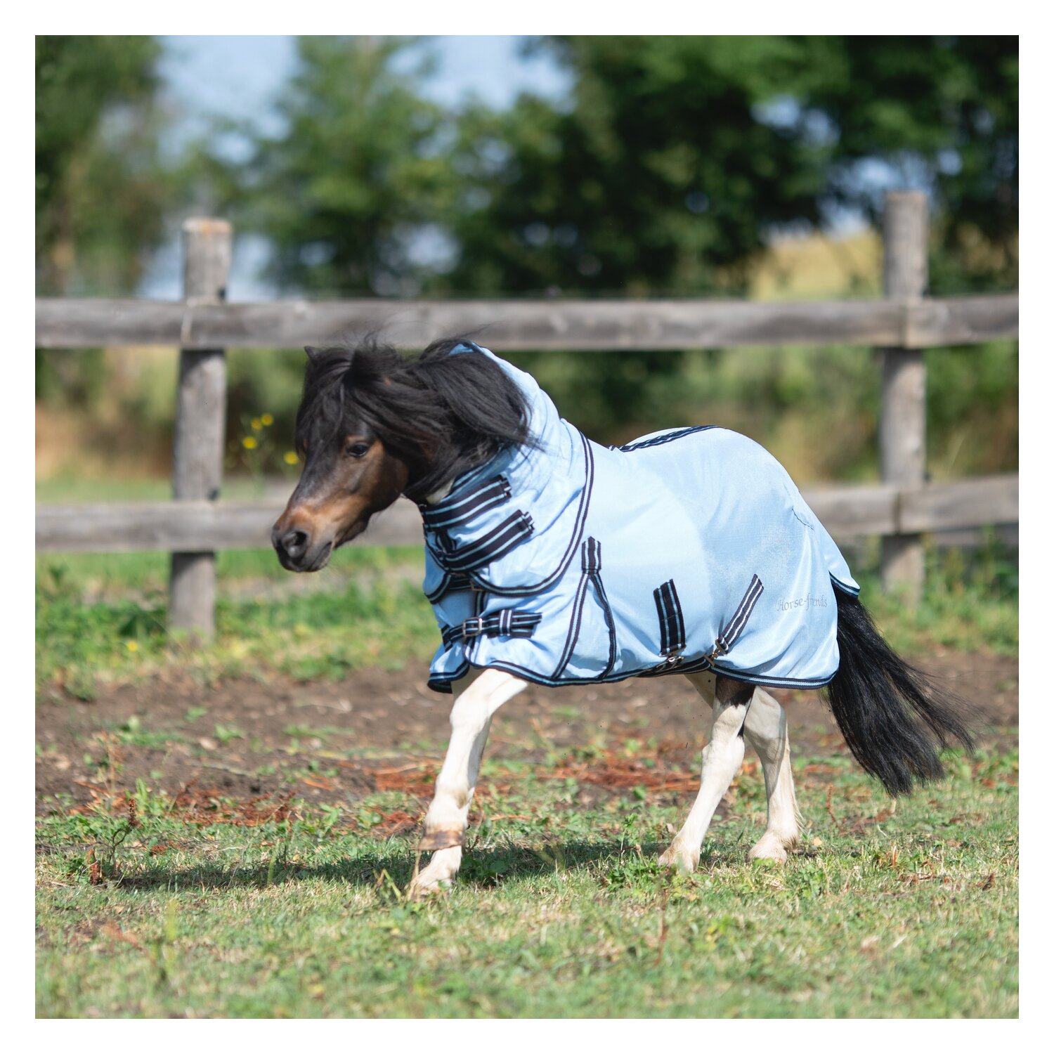 Horse-friends Fliegendecke mit Halsteil für Minishetty und Shetty.  - lightblue