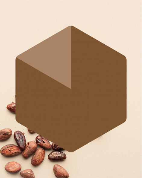 Tablette Madagascar Chocolat au Lait 35% | Le Chocolat Alain Ducasse 75g