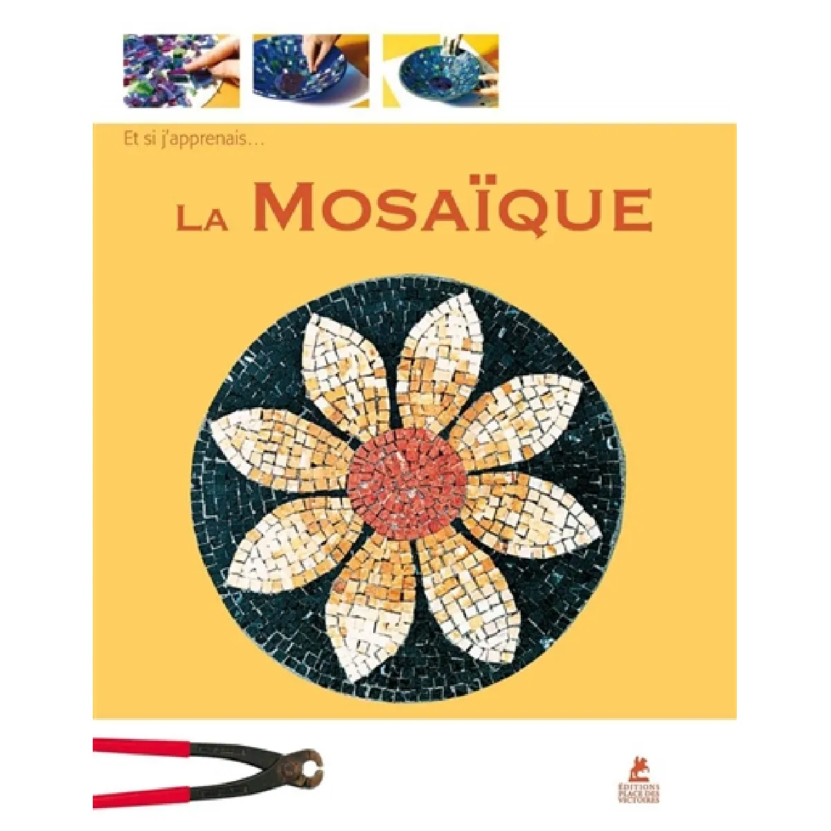 La mosaïque · Occasion