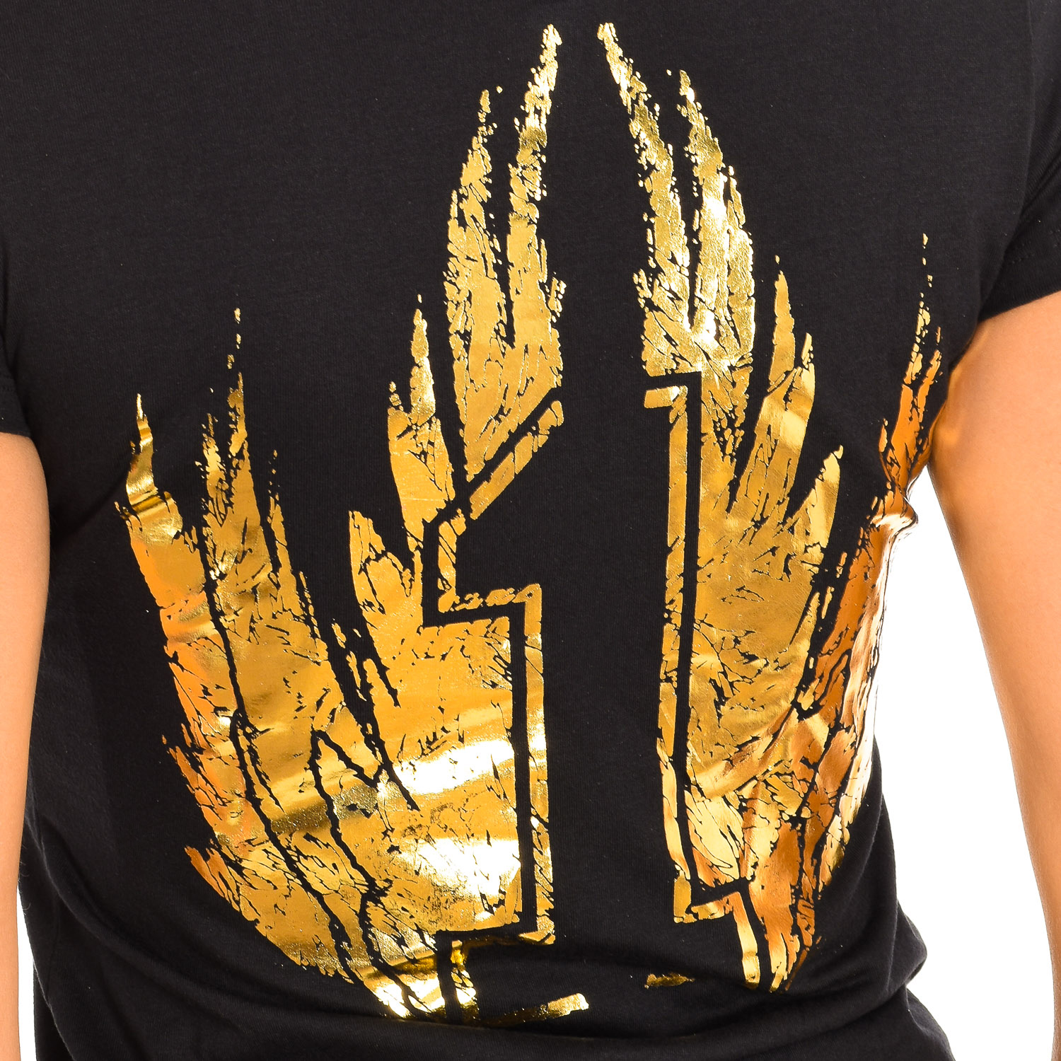 Camiseta de manga comprida Zumba Z1t00543
