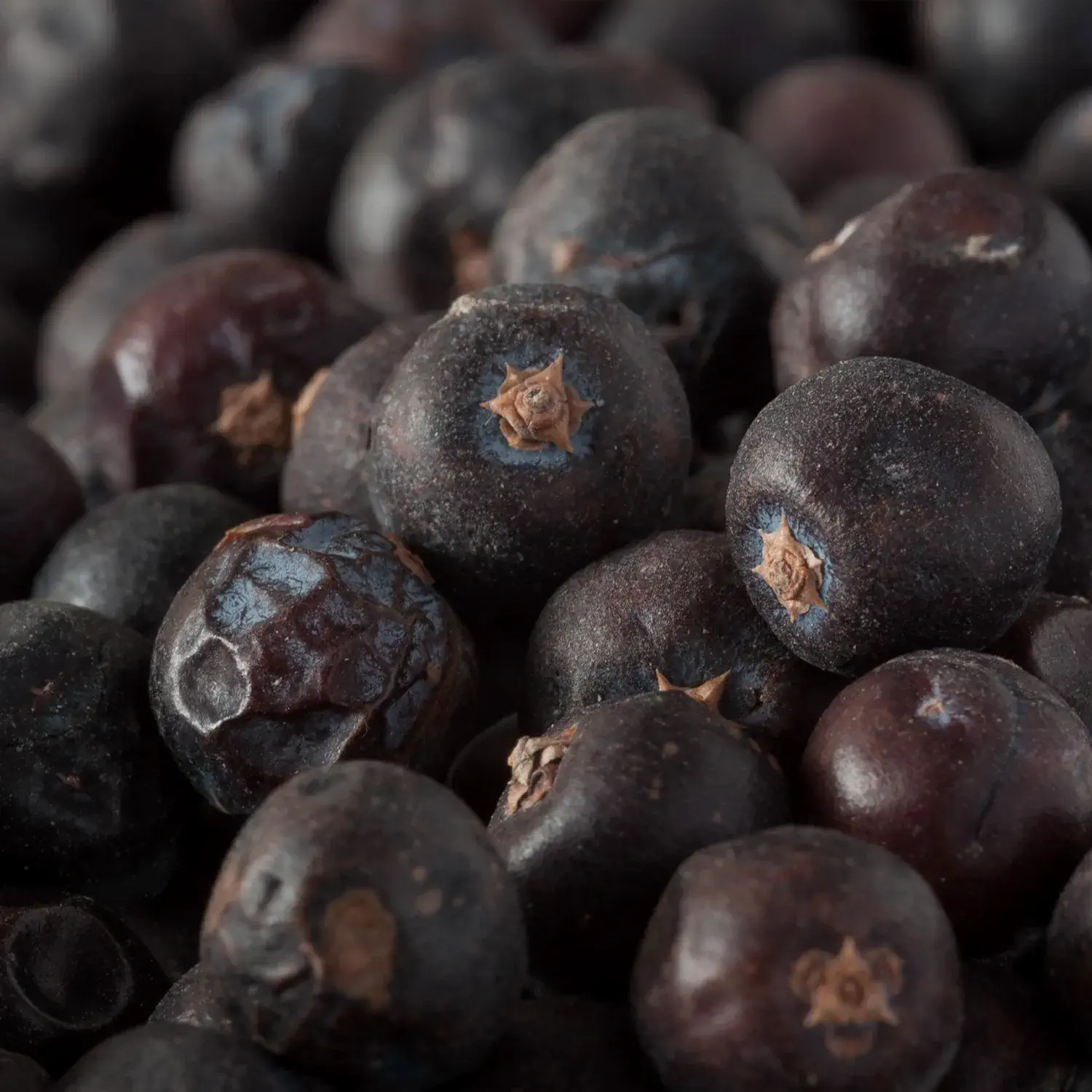 Wacholderbeeren, ganz, 10er Pack