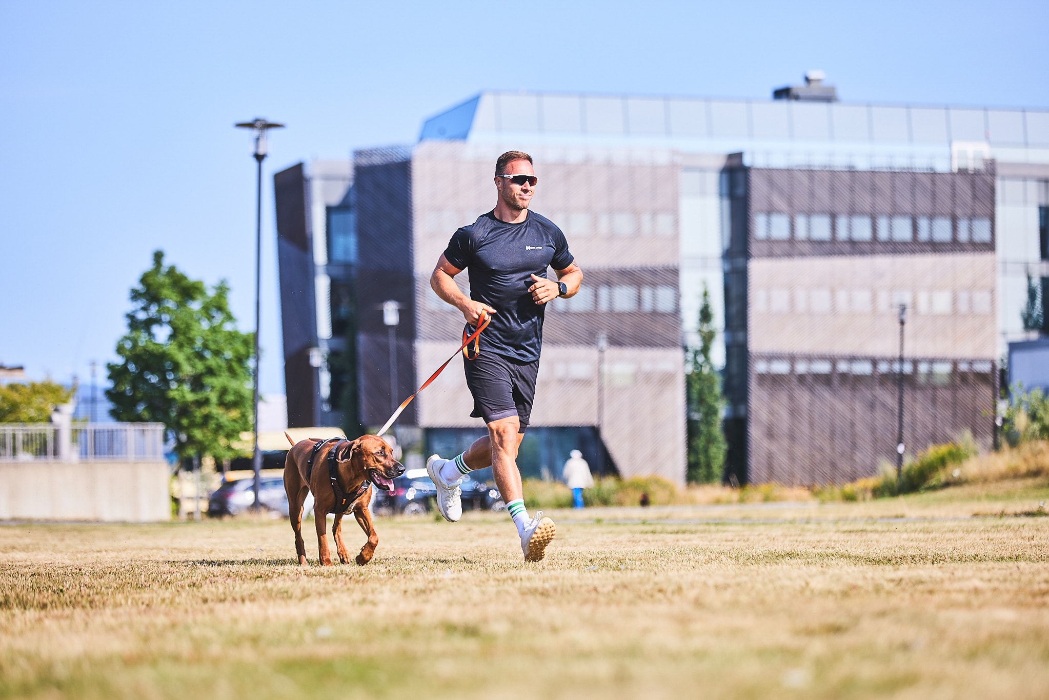 Non-Stop Dogwear Rock Harness<br>Fantastisk sommer sele