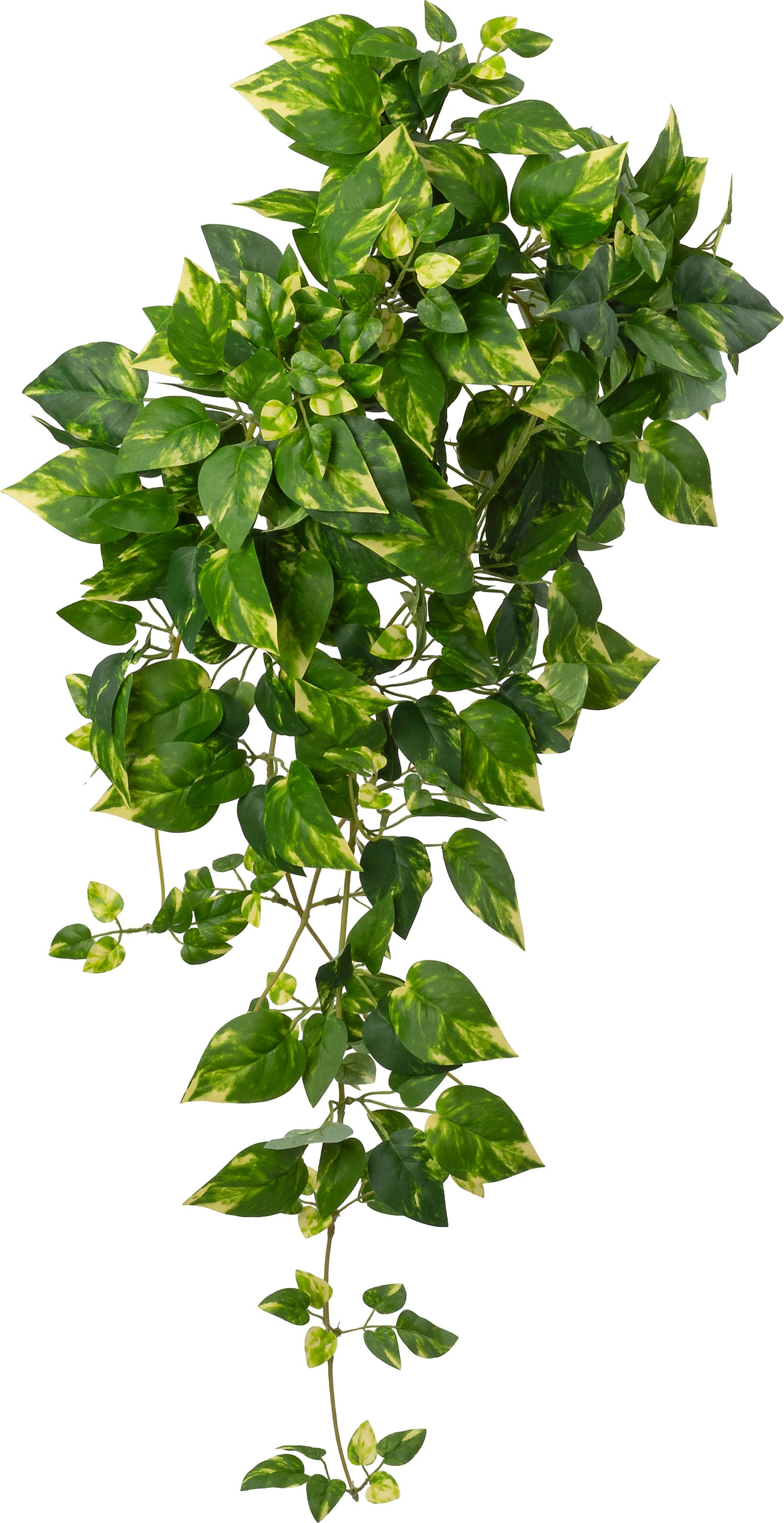 Intratuin kunsthangplant Drakenklimop geelbont 15 x 30 x 90 cm