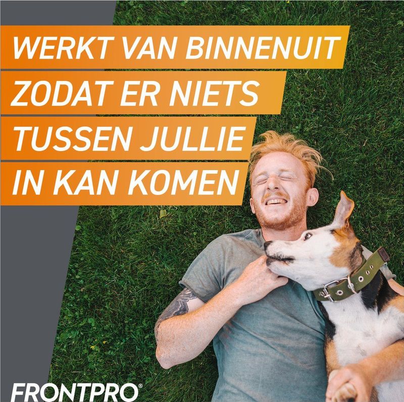 Frontpro - 2x3 Kauwtabletten voor Honden - 4-10kg