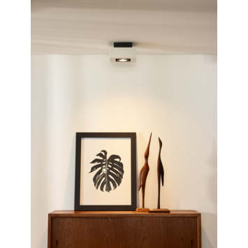 Lucide XIRAX plafondspot LED Dim to warm GU10 2200K/3000K Wit