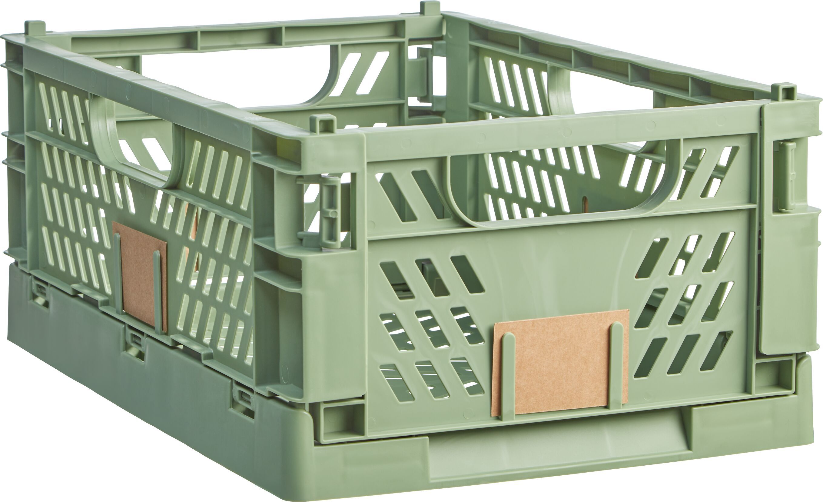 FELIX XL Klappbox - Grün / B: 50.3 cm x T: 33.2 cm x H: 5.7 cm