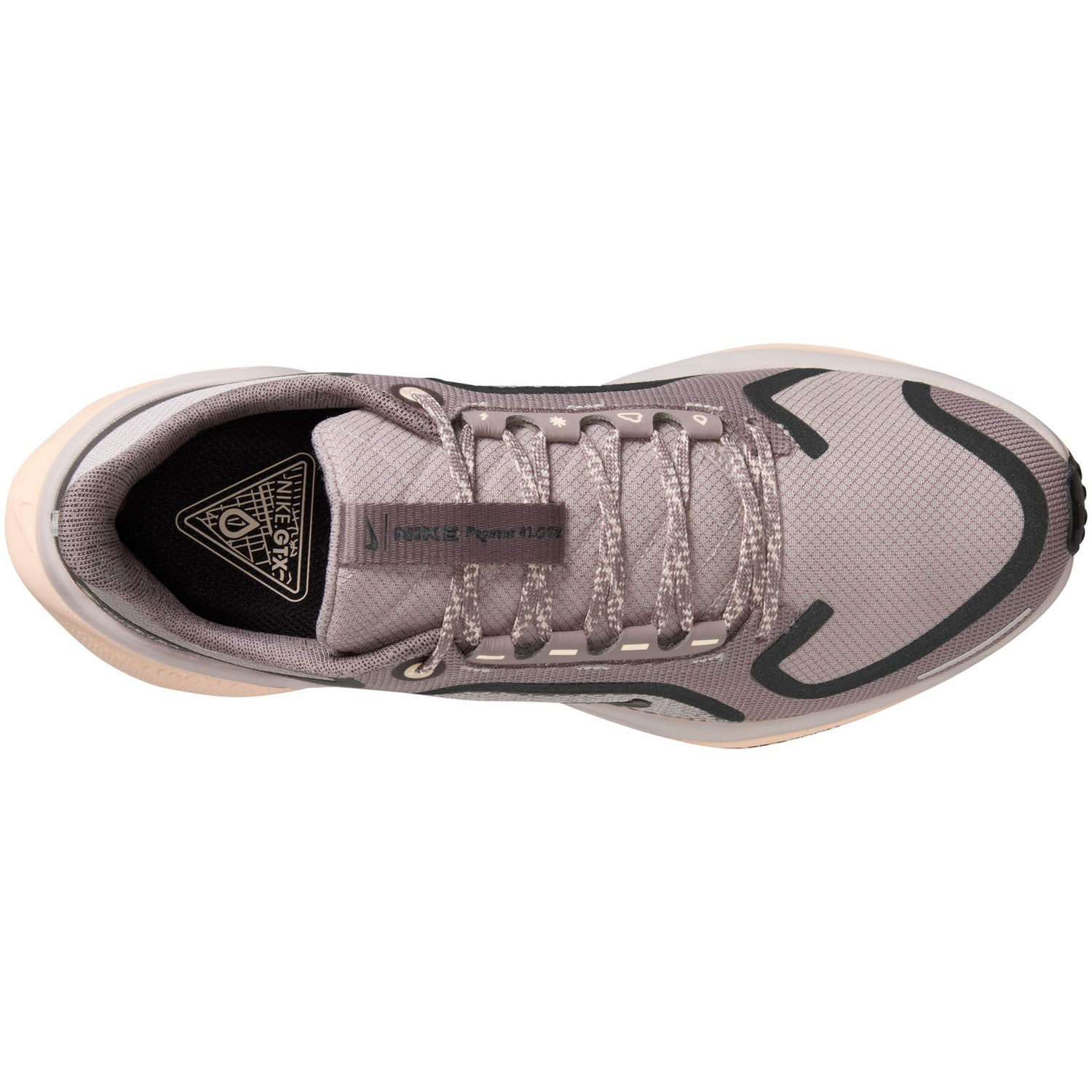 Nike Pegasus 41 GTX Dames