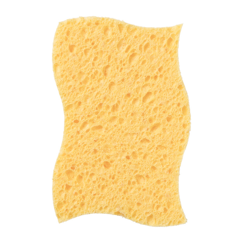 Huishoudspons