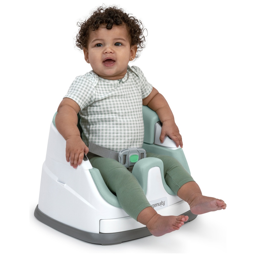 Ingenuity Baby Base 2-in-1 Kindersitz, Farbe: Mist