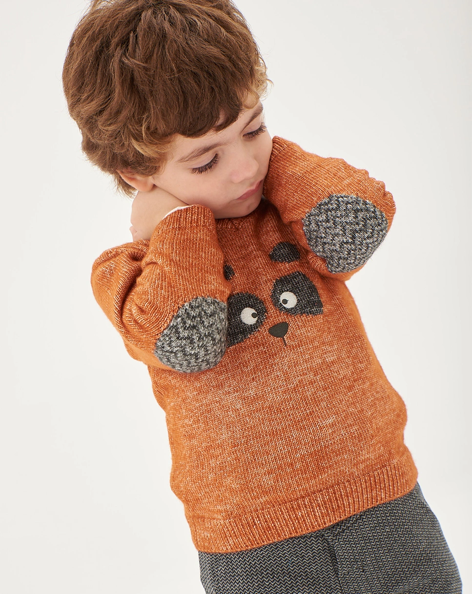 Strickpullover WASCHBÄR in braun