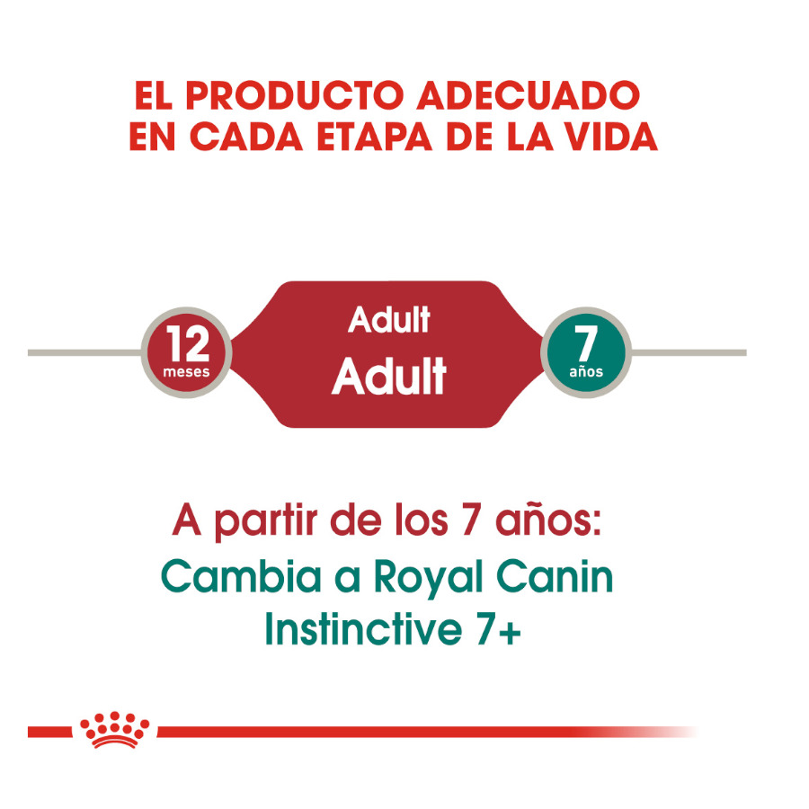 Sachê de Patê Royal Canin Instinctive para Gatos
