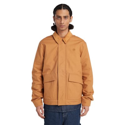 Blouson homme Strafford Insulated TIMBERLAND
