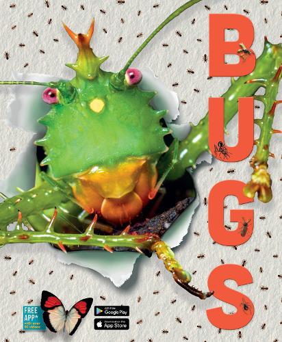 Bugs (Hardback)