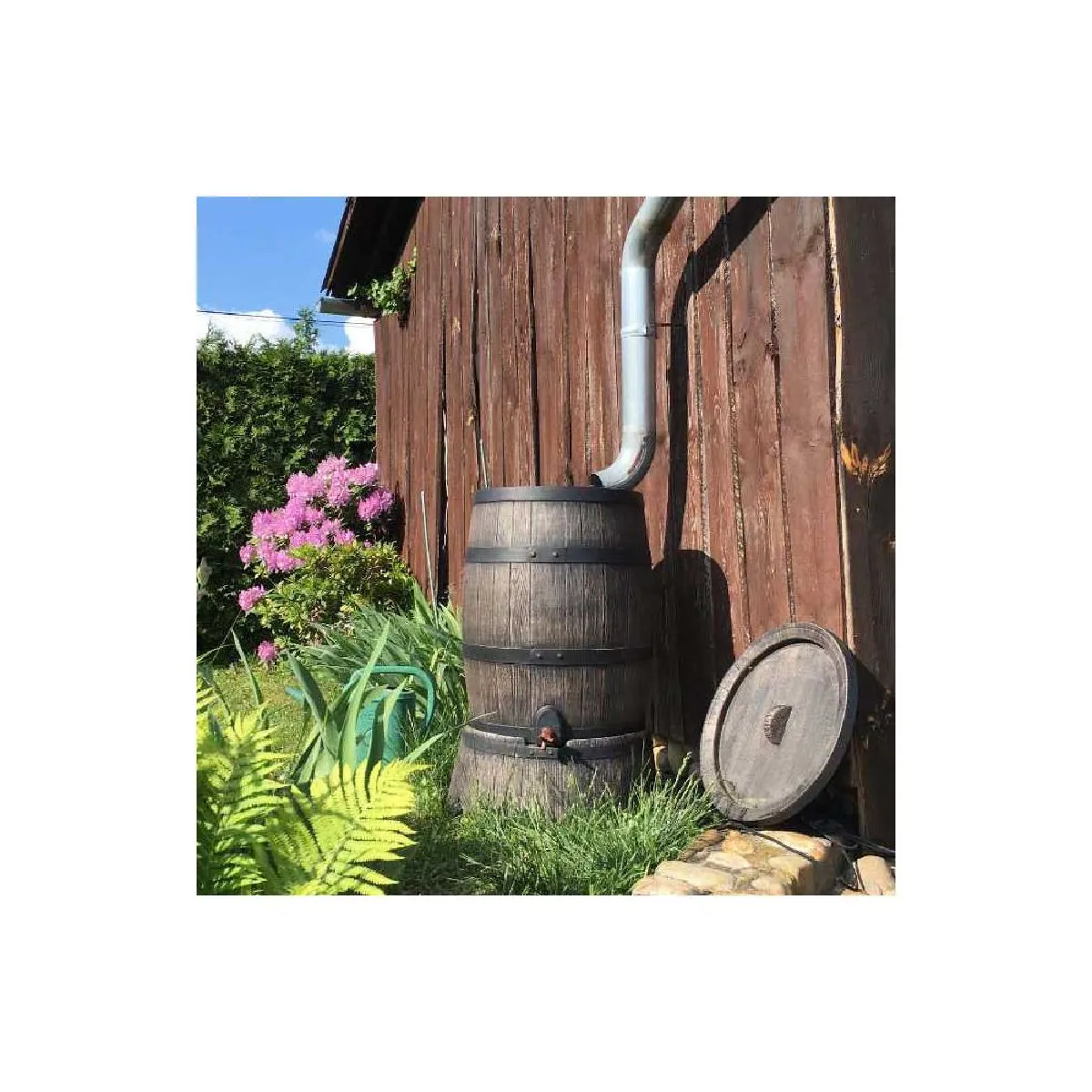 Roto Récupérateur d'eau de pluie 120L Barrel