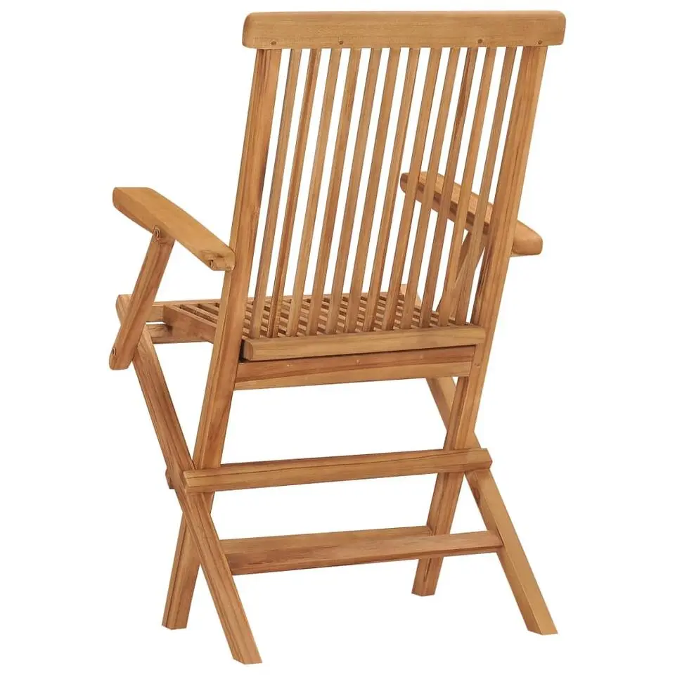 vidaXL - Tuinstoelen - Inklapbaar - Massief teakhout - 2 stuks