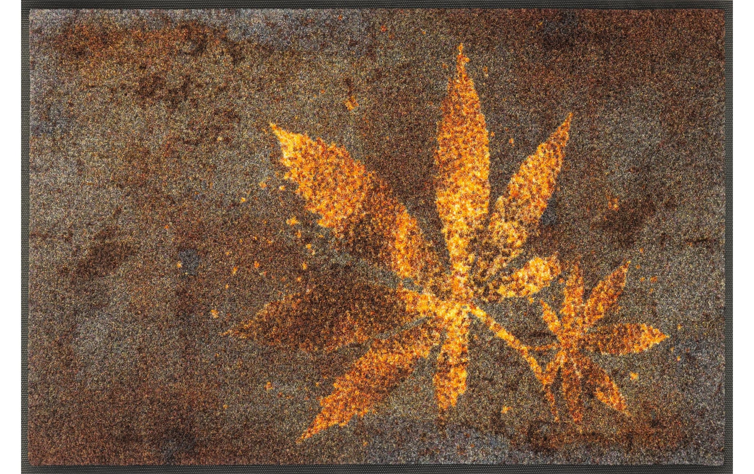wash+dry by Kleen-Tex Fussmatte »Herb Blend 50 cm x 75 cm«