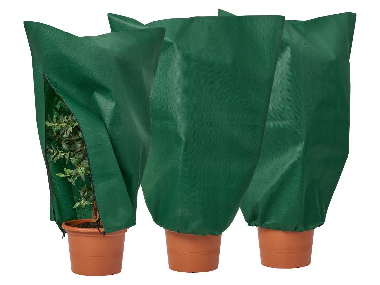 Plantenhoes tegen vorst