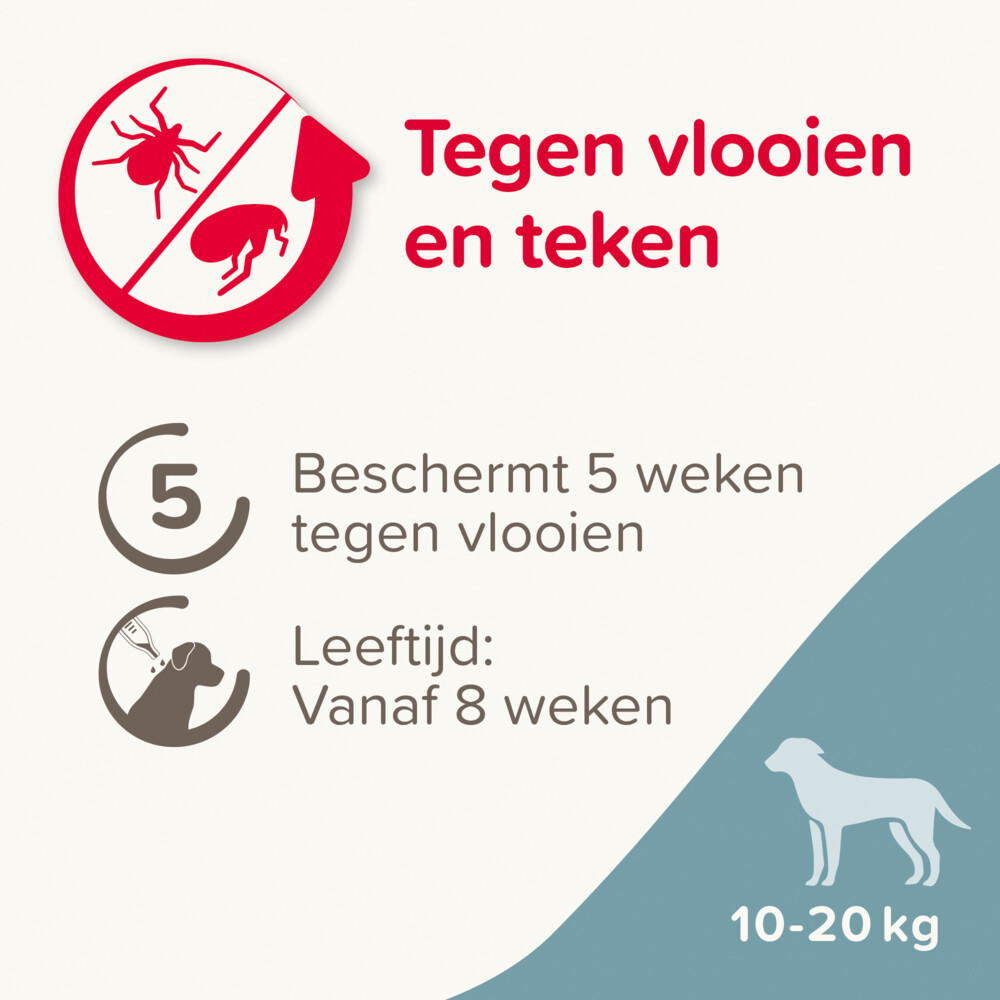 Beaphar Fiprotec Anti Teken- en Vlooiendruppels Hond 10 - 20 kg4 stuks