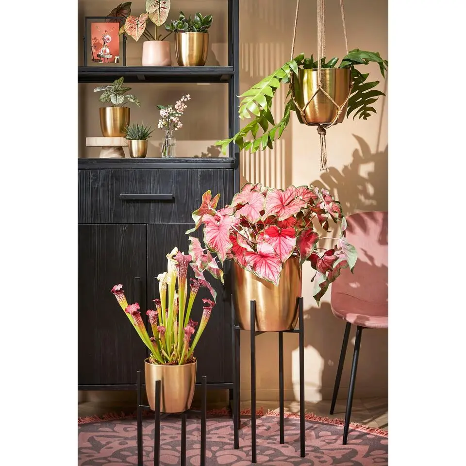 Mica Decorations Ascot Plantenstandaard L41,5 x B41,5 x H50 cm Zwart