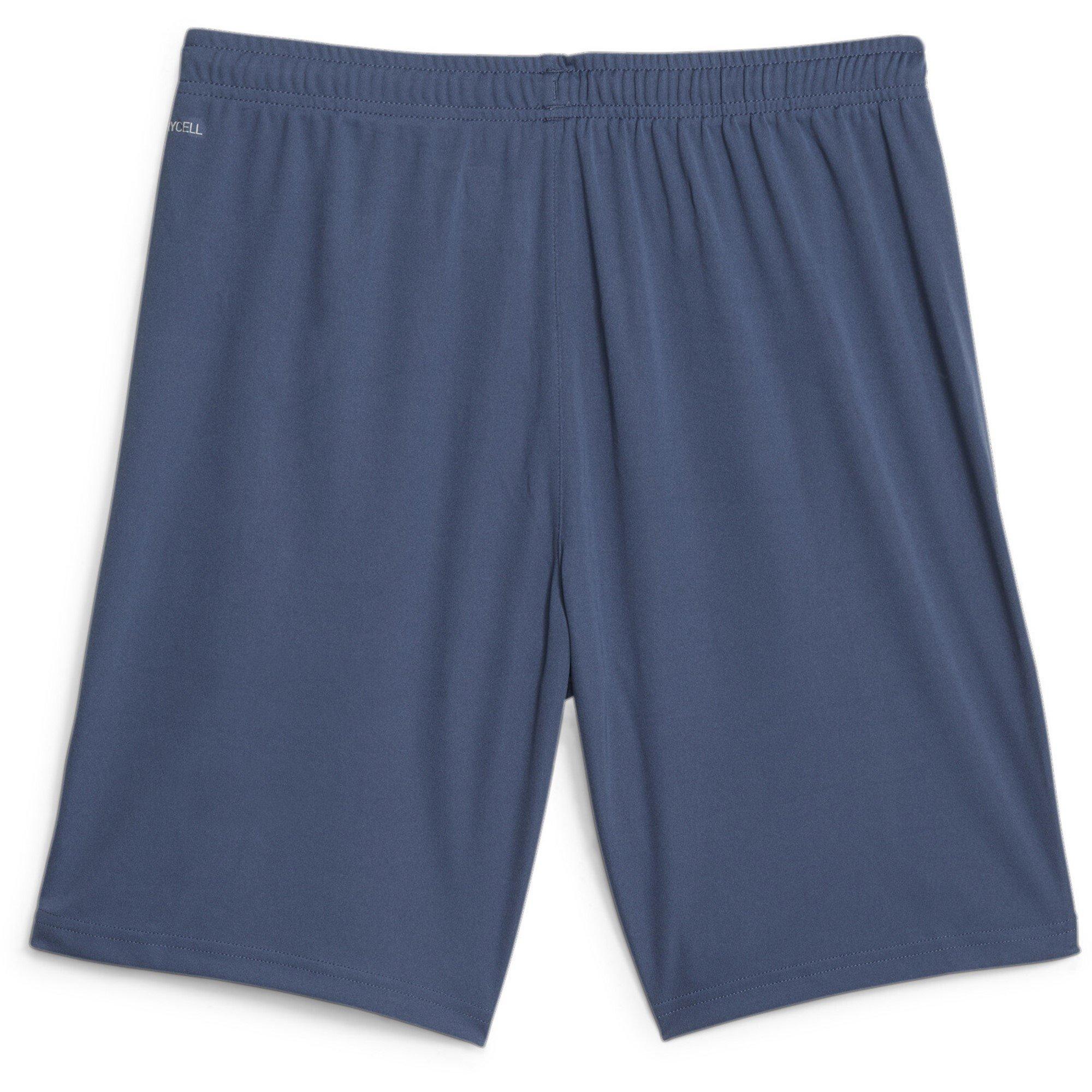 Puma teamLIGA Training Shorts 2 (open poc