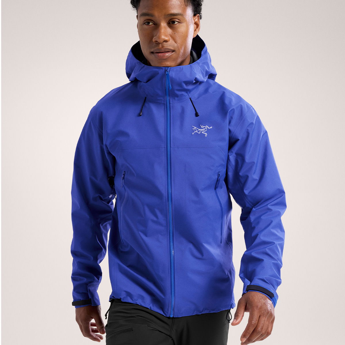 Arc'teryx Beta SL skaljakke, herre (Vitality)