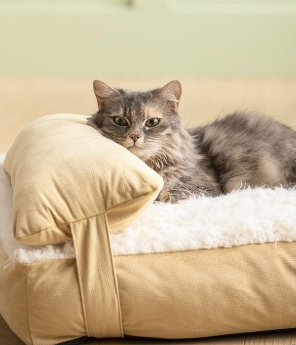 Dehner Lieblinge Kuschelkissen Duchesse,