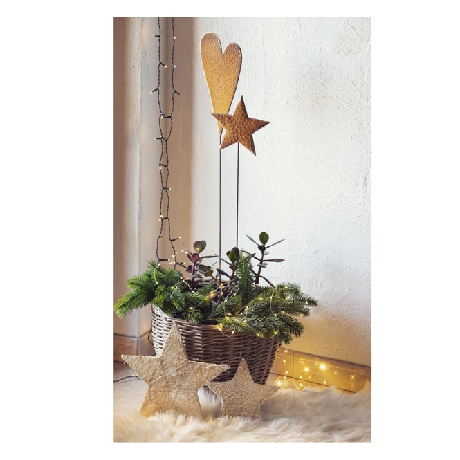 Pflanzenstecker - Stern - ca. 77 x 16 cm