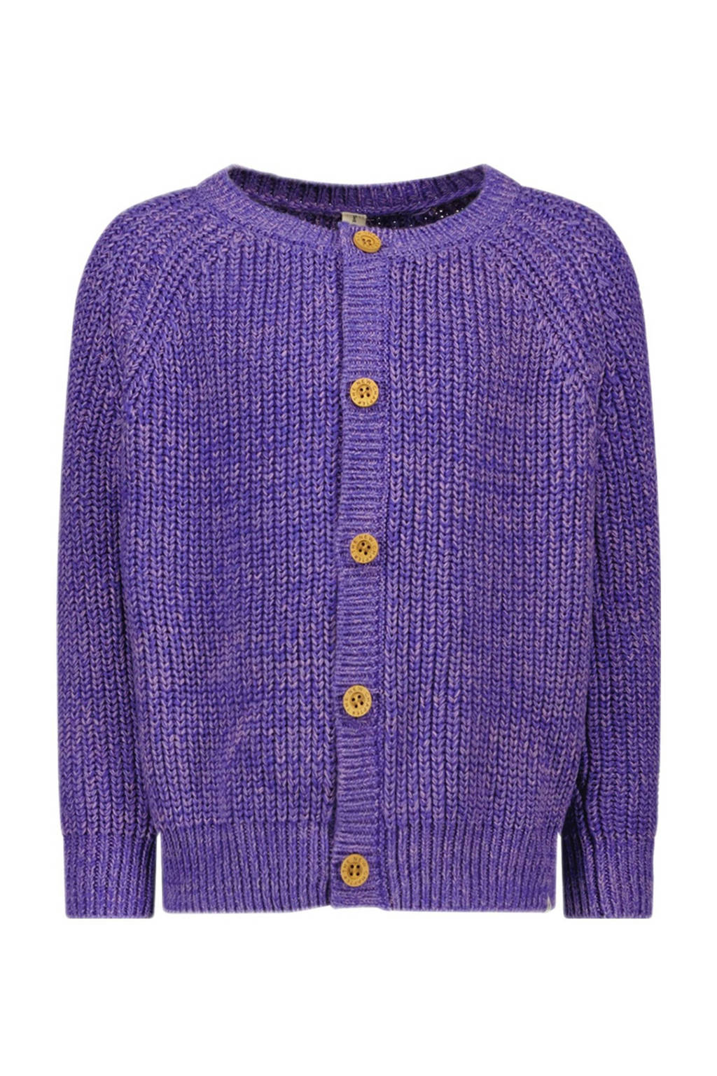 The New Chapter gebreid vest paars