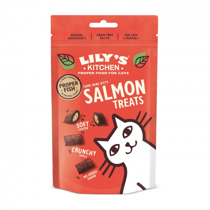 Salmon Treats