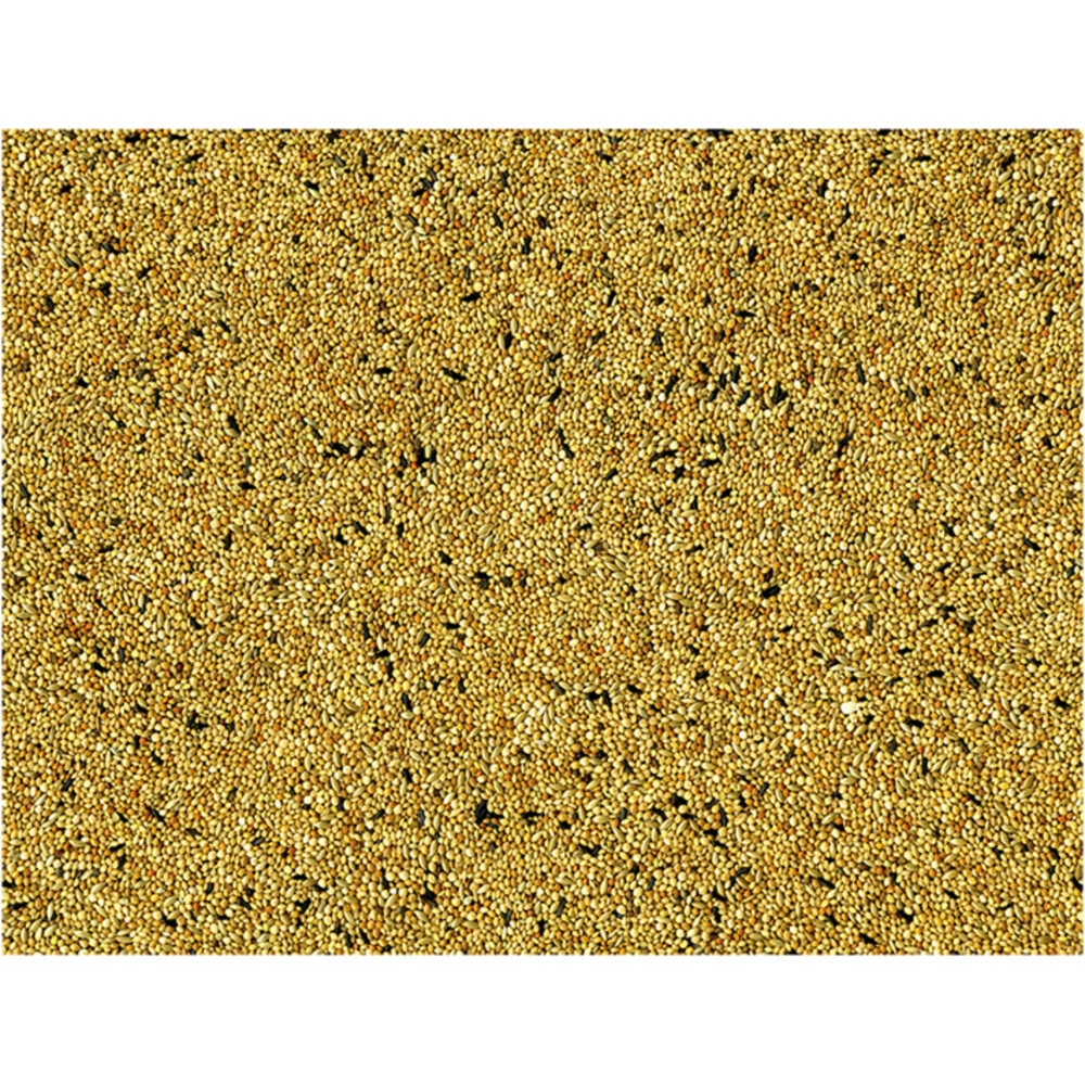 Graines pour oiseaux exotiques 1 kg