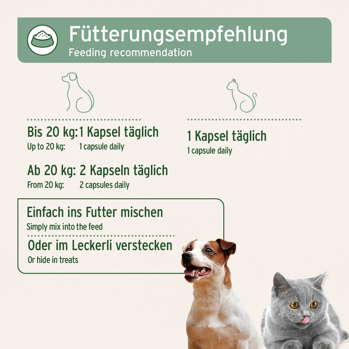AniForte Lachsöl Kapseln