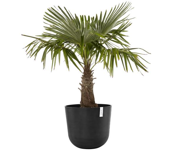 Ecopots Kunststoff-Topf Oslo, rund