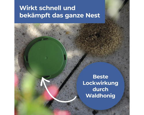 Protect Home Blattanex mierenlokdoos, 2 stuks