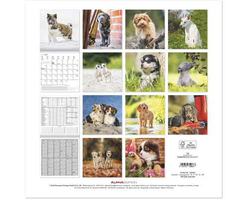 Wandkalender puppy's 2025 30x30 cm