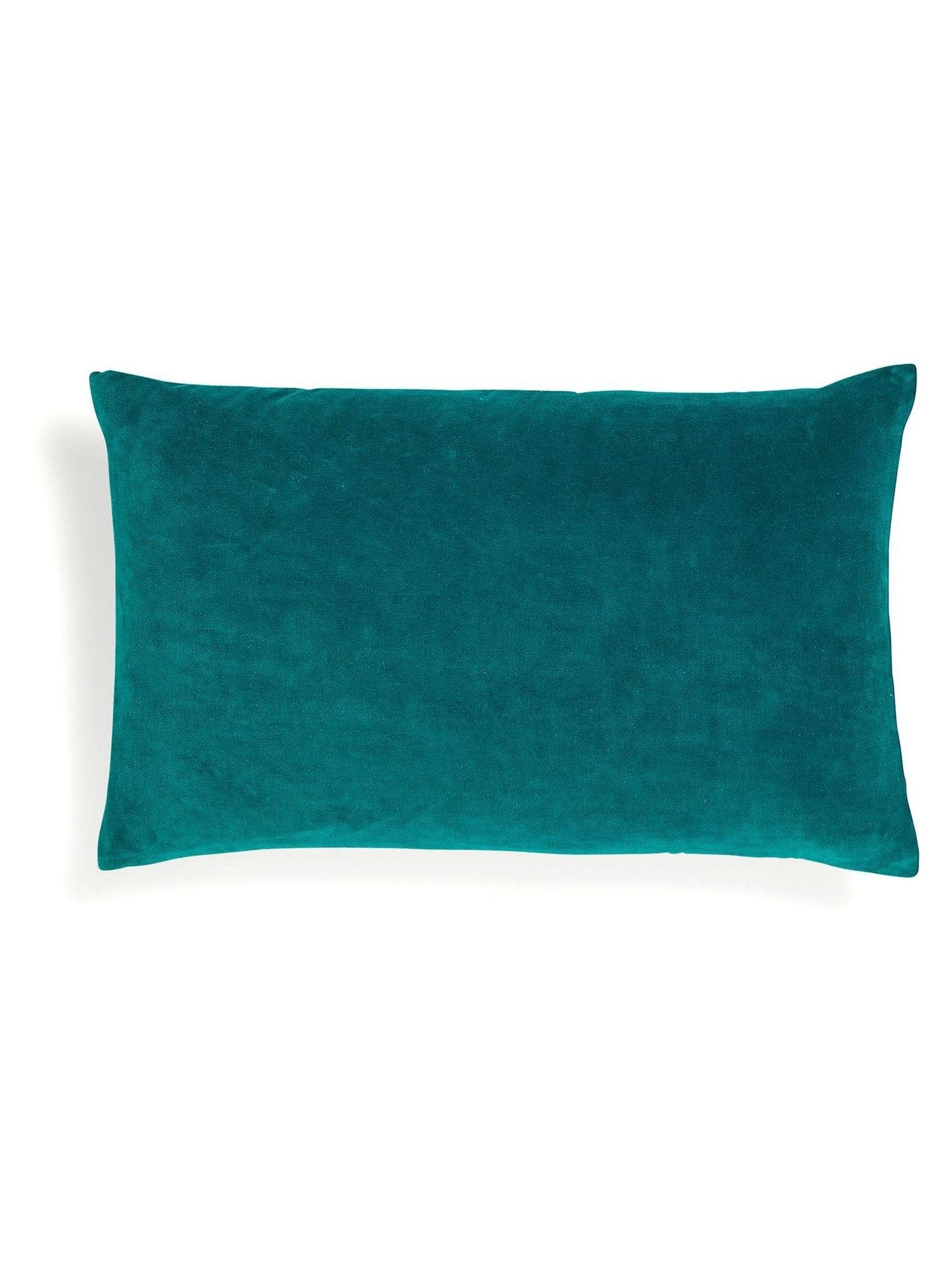 Christy Jaipur Velvet Filled Cushion