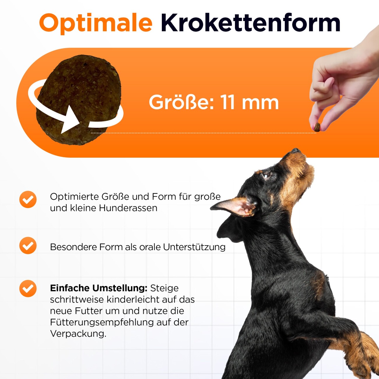Balloony.pet German Shephy Hundefutter Lachs 500 g