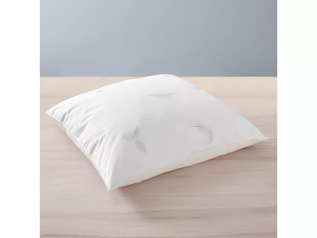 Oreiller 60 x 60 cm Blanrêve Gamme Naturelle 