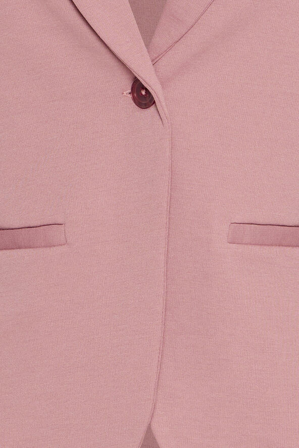 Fransa FRZablazer 1 Blazer Nostalgia rose