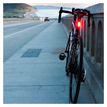 Éclairage Arrière Nite Rider Solas 250