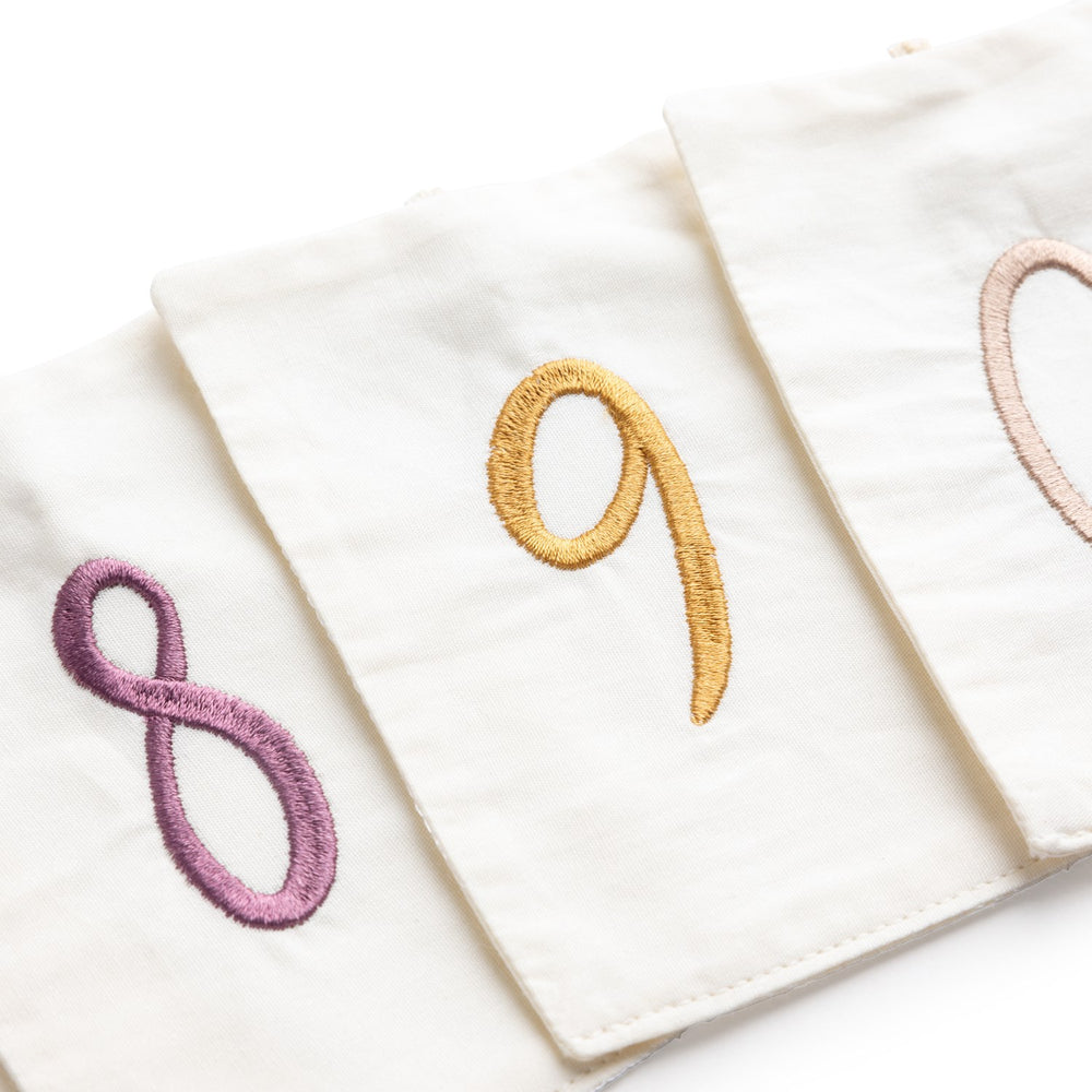 Køb Sebra Birthday Bunting Gifts Numbers