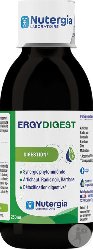 Ergydigest Liquide Nf 250ml