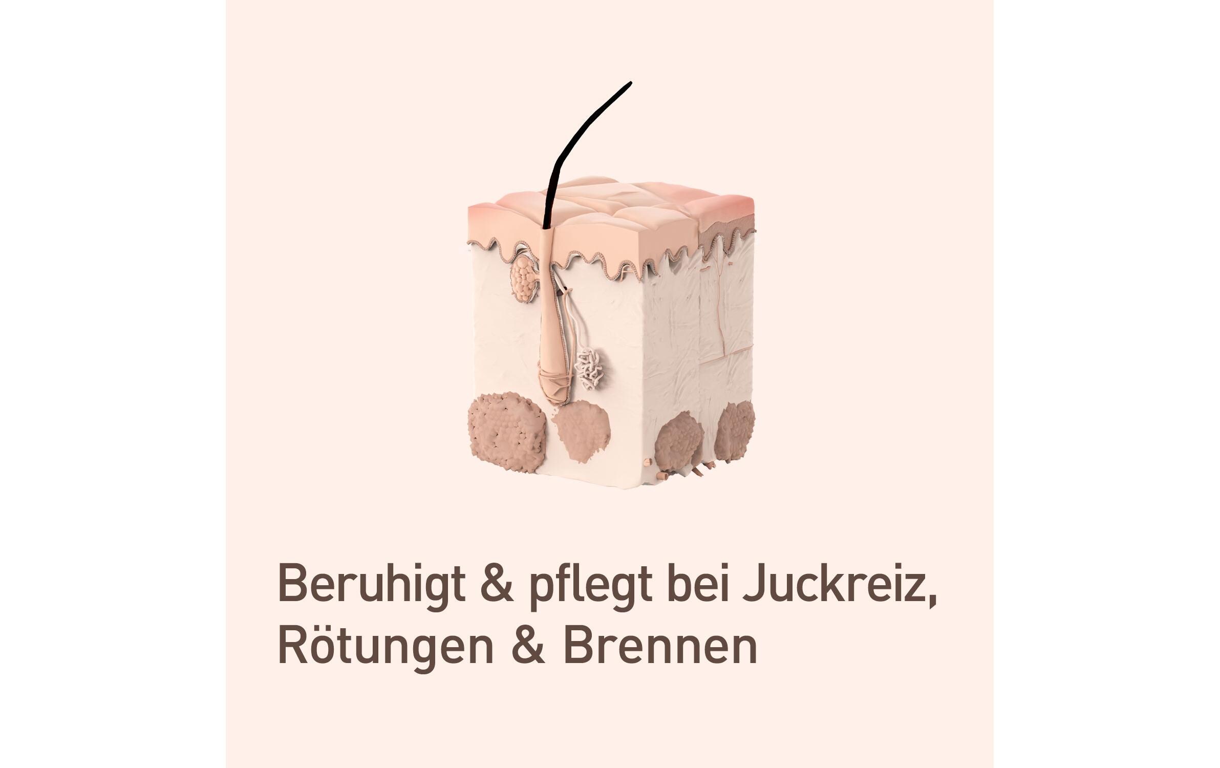 probaderm 50 mlIntensivcreme bei Akne, Pickeln und Hautproblemen