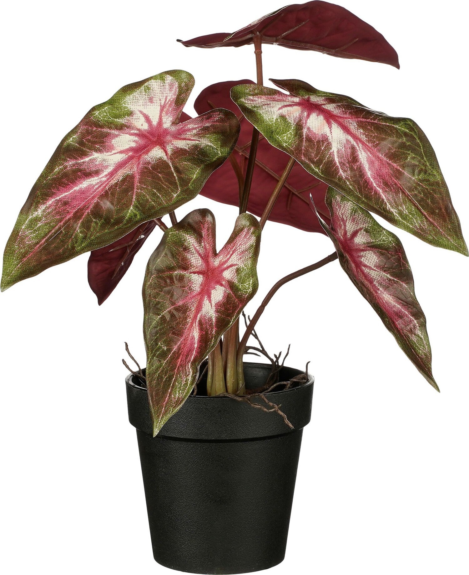 Mica Decorations kunstplant Alocasia rood H 27 D 25 cm