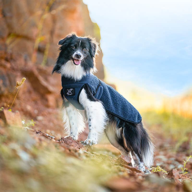 Bigfoot Dog Jacket Hund Moonlit Ocean